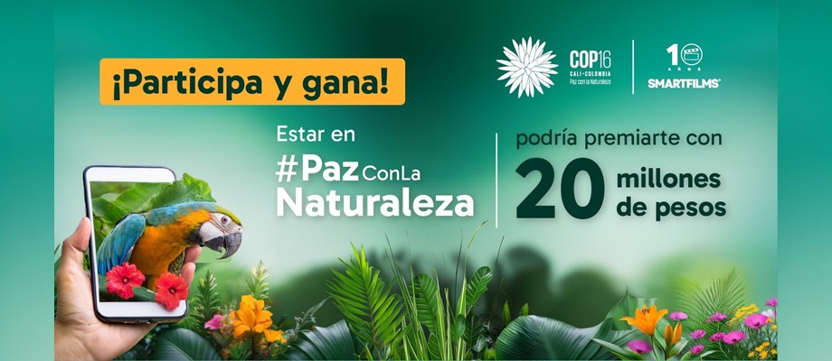 Embajada de Colombia en Japón invita a participar con su video en la COP16 a realizarse en Cali 